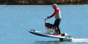 Hydroflyer Cruiser w Wing